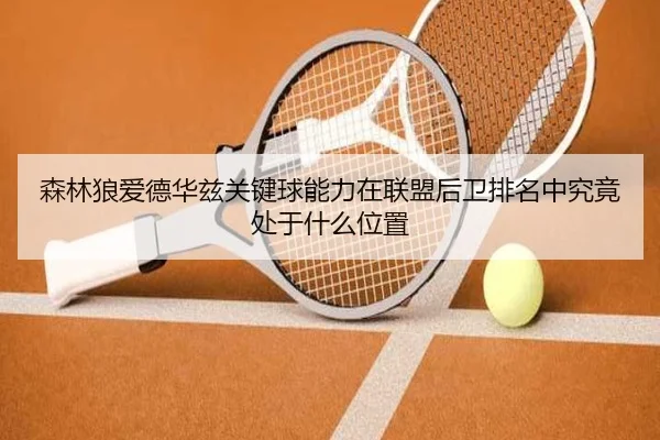 森林狼爱德华兹关键球能力在联盟后卫排名中究竟处于什么位置